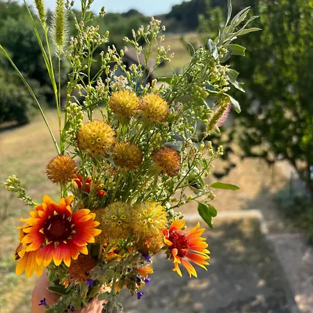 Kucica U Pesku * Vladimirovac