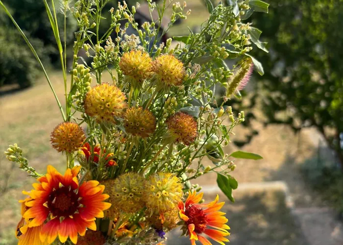 Kucica U Pesku * Vladimirovac